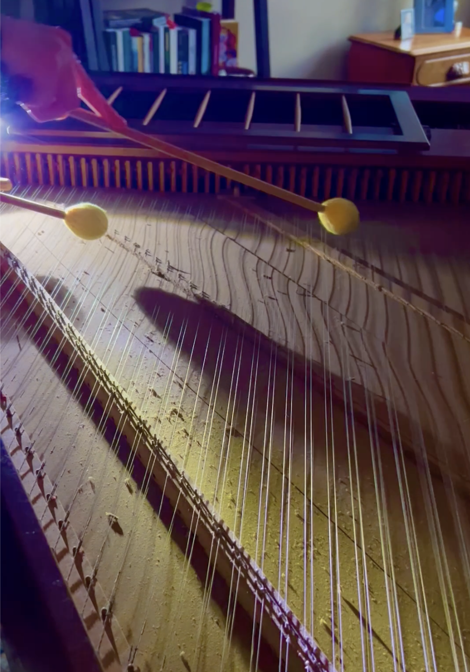 I "play" a decayed East German harpsichord with a history of moths beneath the strings.